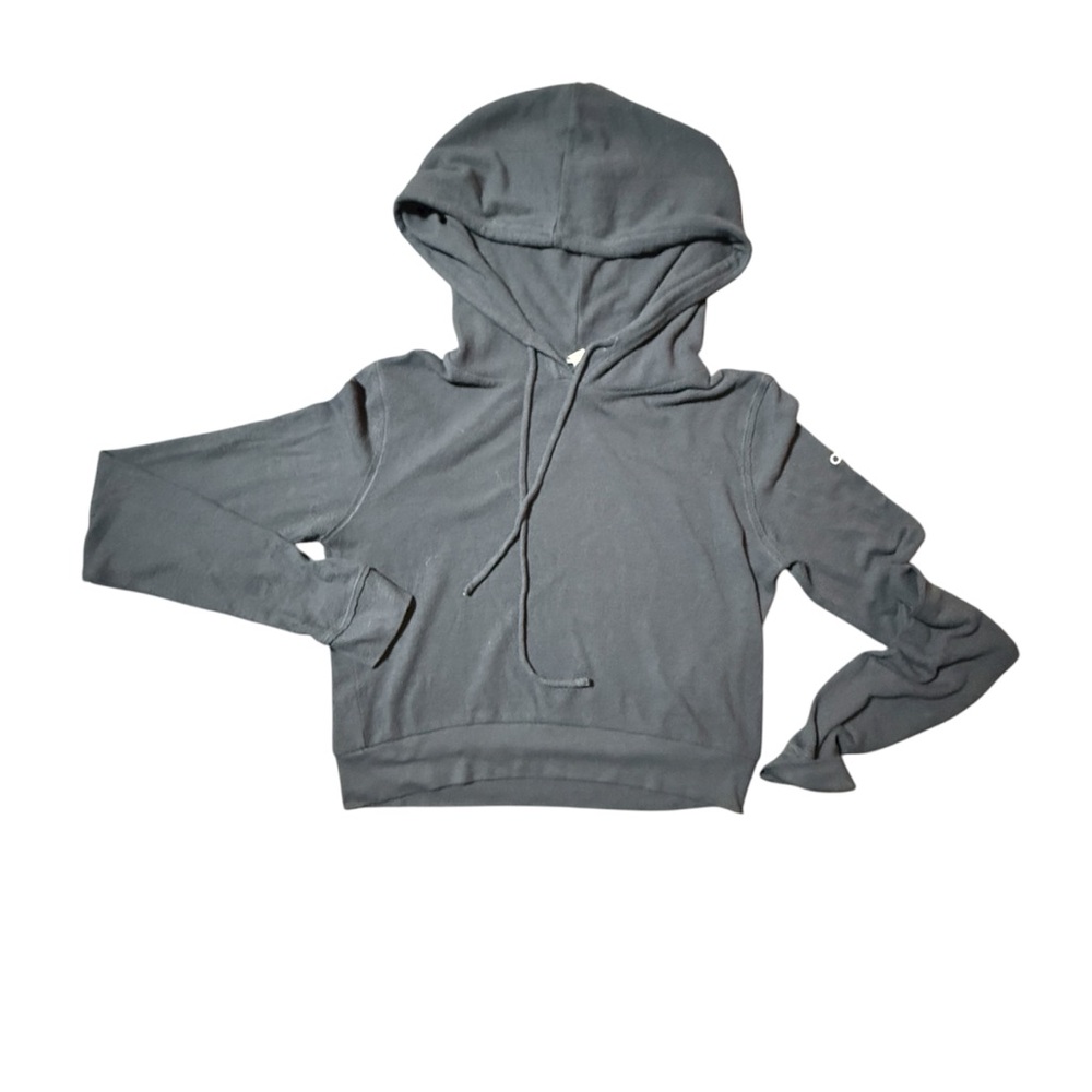 ALO Yoga Women's Gray Hoodie Cropped - XS